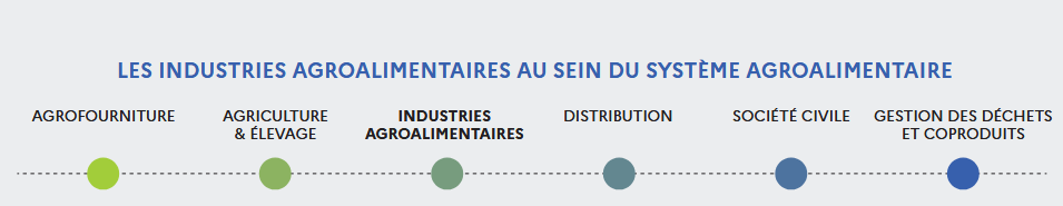 Infographie sur les secteurs des industries agroalimentaires au sein du système agroalimentaire.