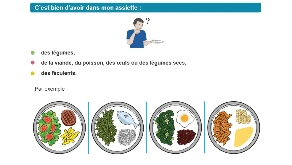 Comment manger équilibré ? Exemples d'assiette équilibrée